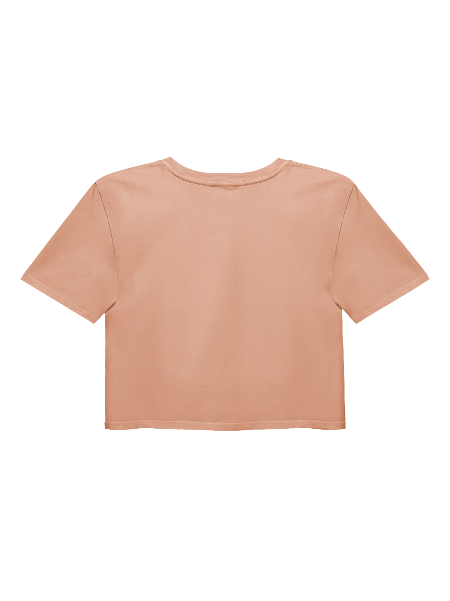Retro Ride Crop Top product image (17)