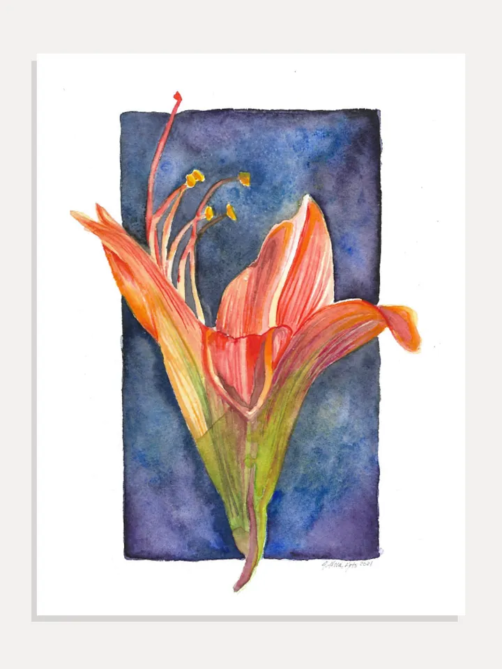 Lily #1 Giclée Art Print product image (1)