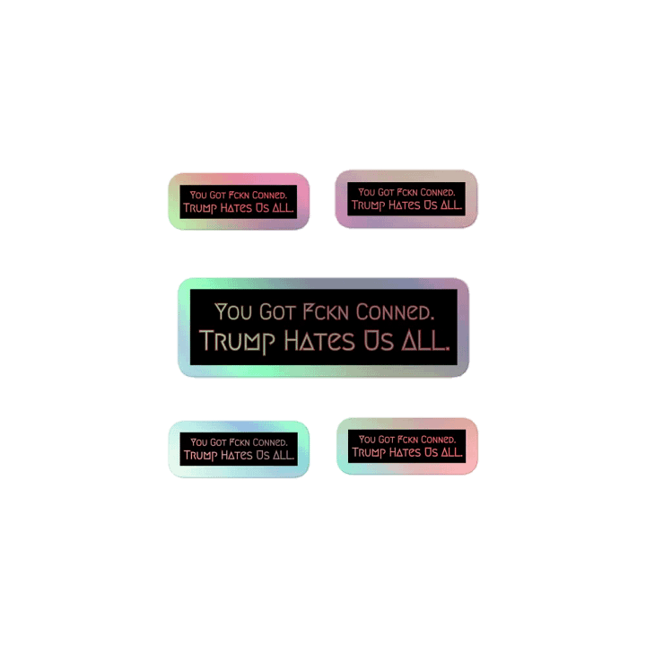 Resistor, You Got Fckn Conned (words only), NSFW Holo Sticker Pack product image (1)