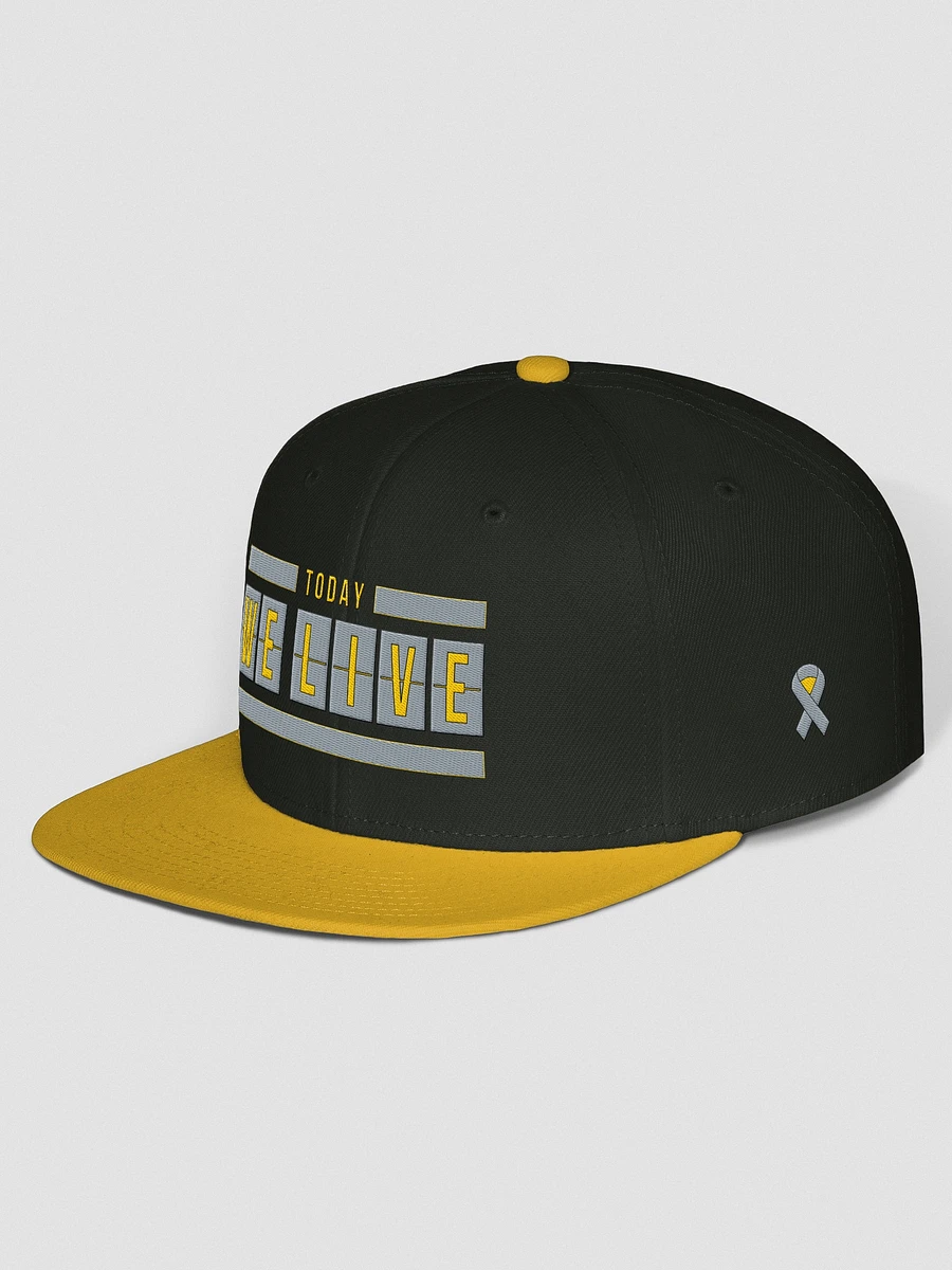 Grey For May Snapback product image (2)