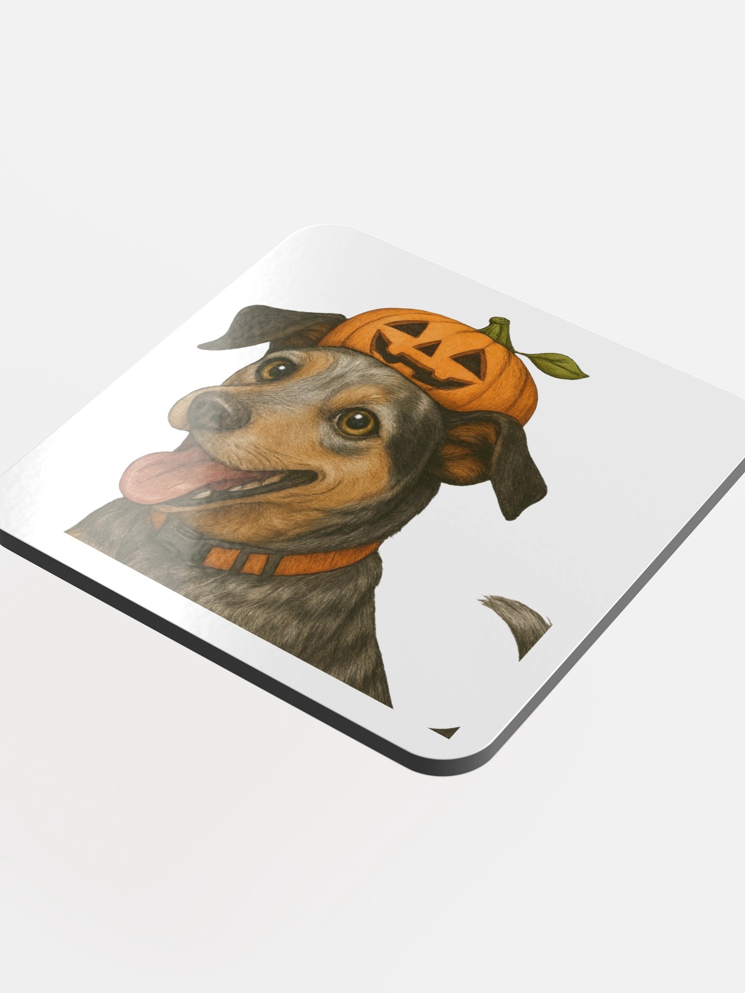 Fall Cooper Coaster product image (4)