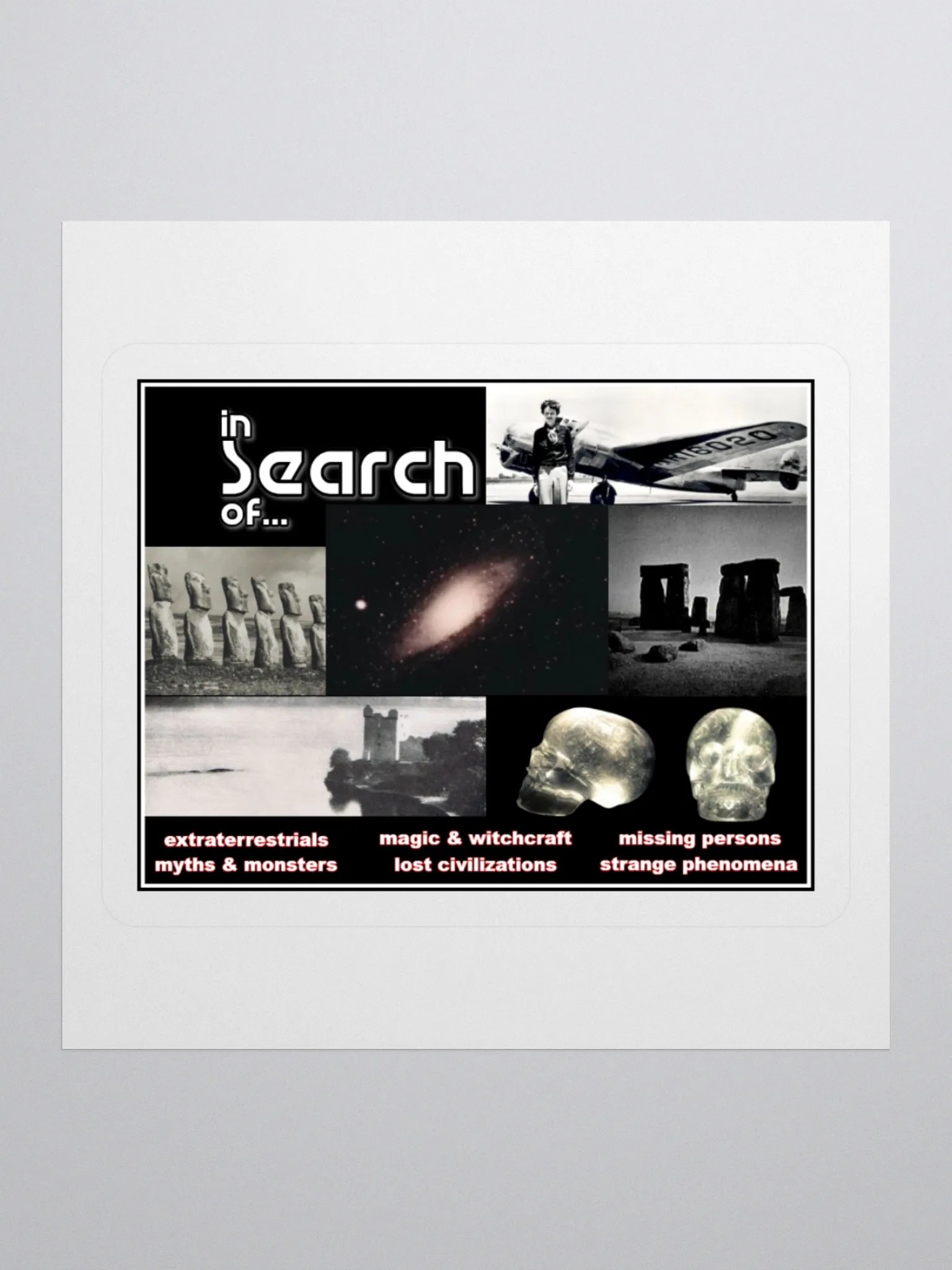 In Search Of...The Sticker product image (1)