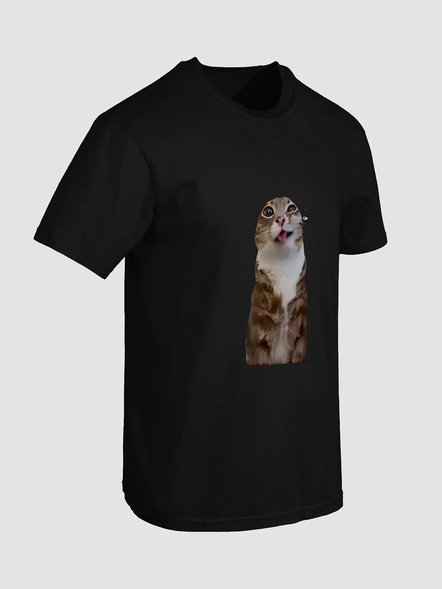 Rigby Cat T-Shirt product image (4)