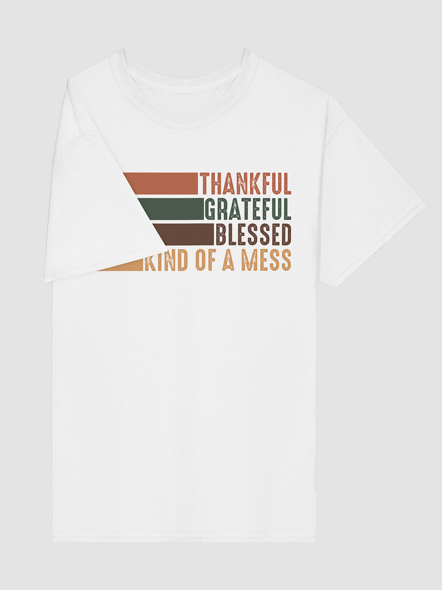Thankful Grateful Blessed Kind of a Mess Tee product image (100)