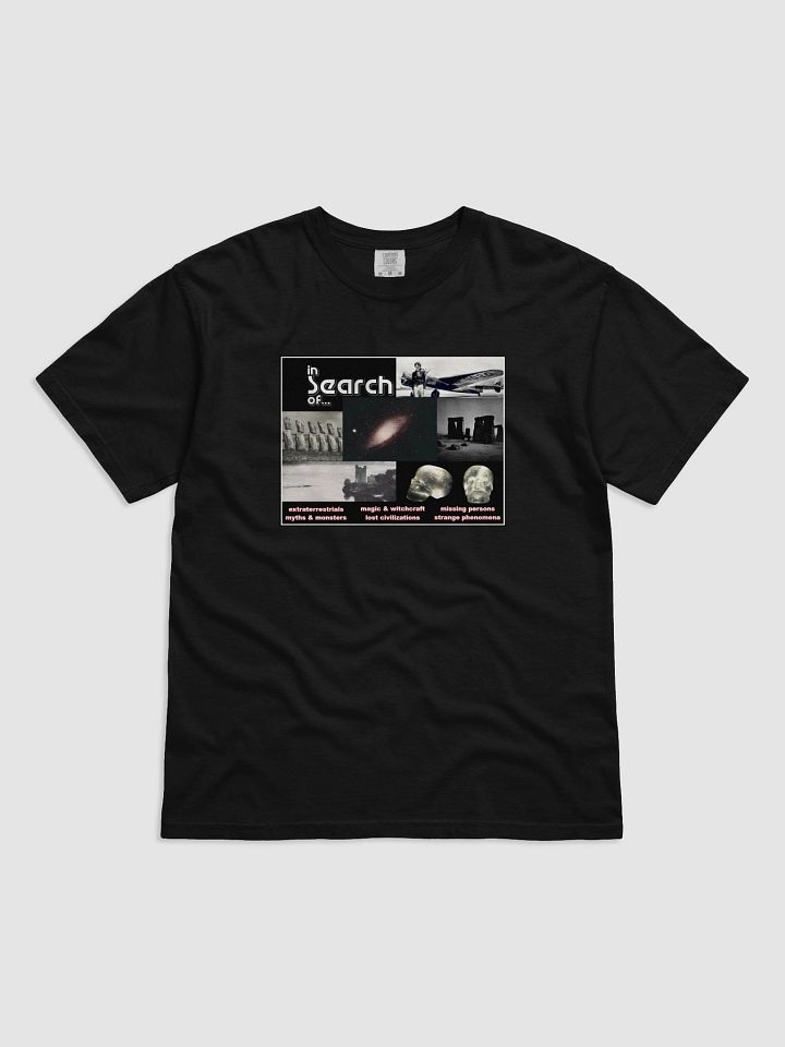 In Search Of... T-Shirt product image (5)