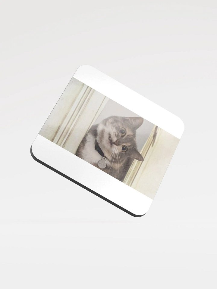 Here's.. a Mochi Coaster! product image (1)