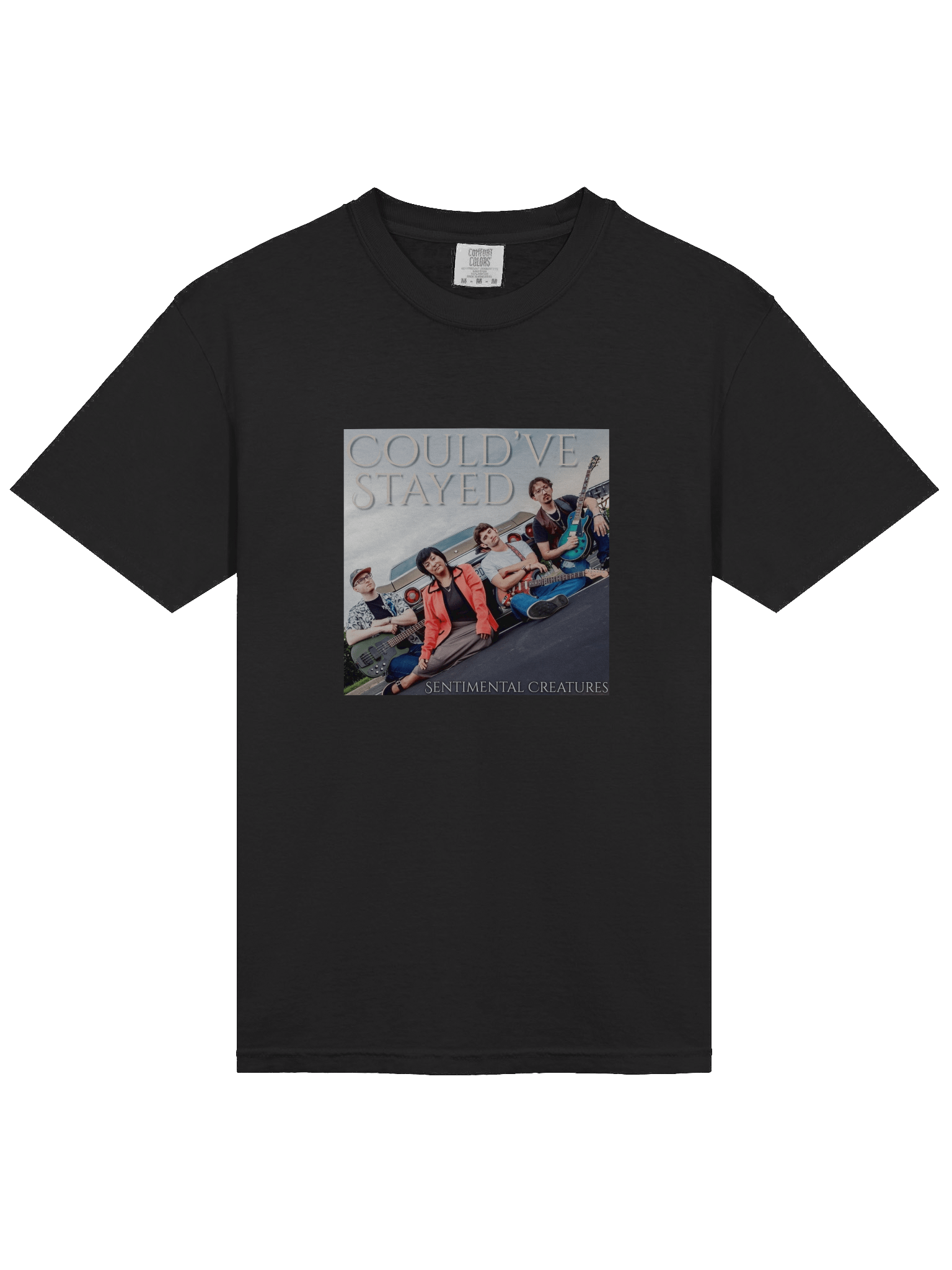 Could've Stayed SINGLE ART Tee product image (7)