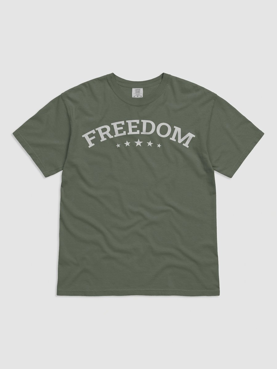 Freedom Typography Unisex Garment-Dyed T-shirt product image (132)