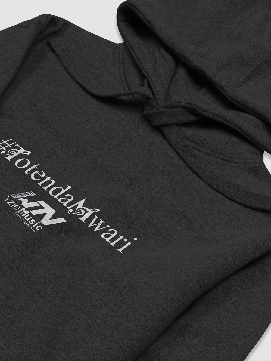 WTN Premium Hoodie product image (3)