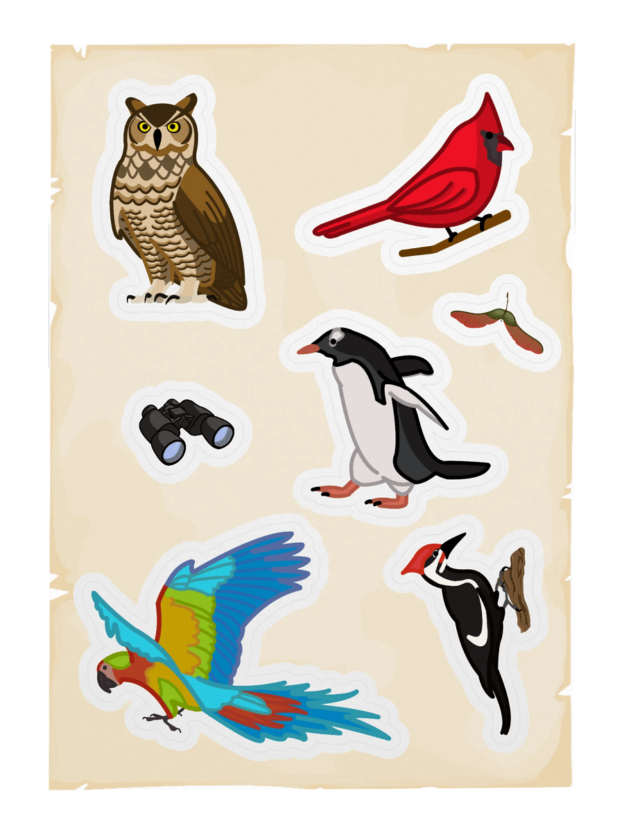 Birbs - version 4 product image (1)
