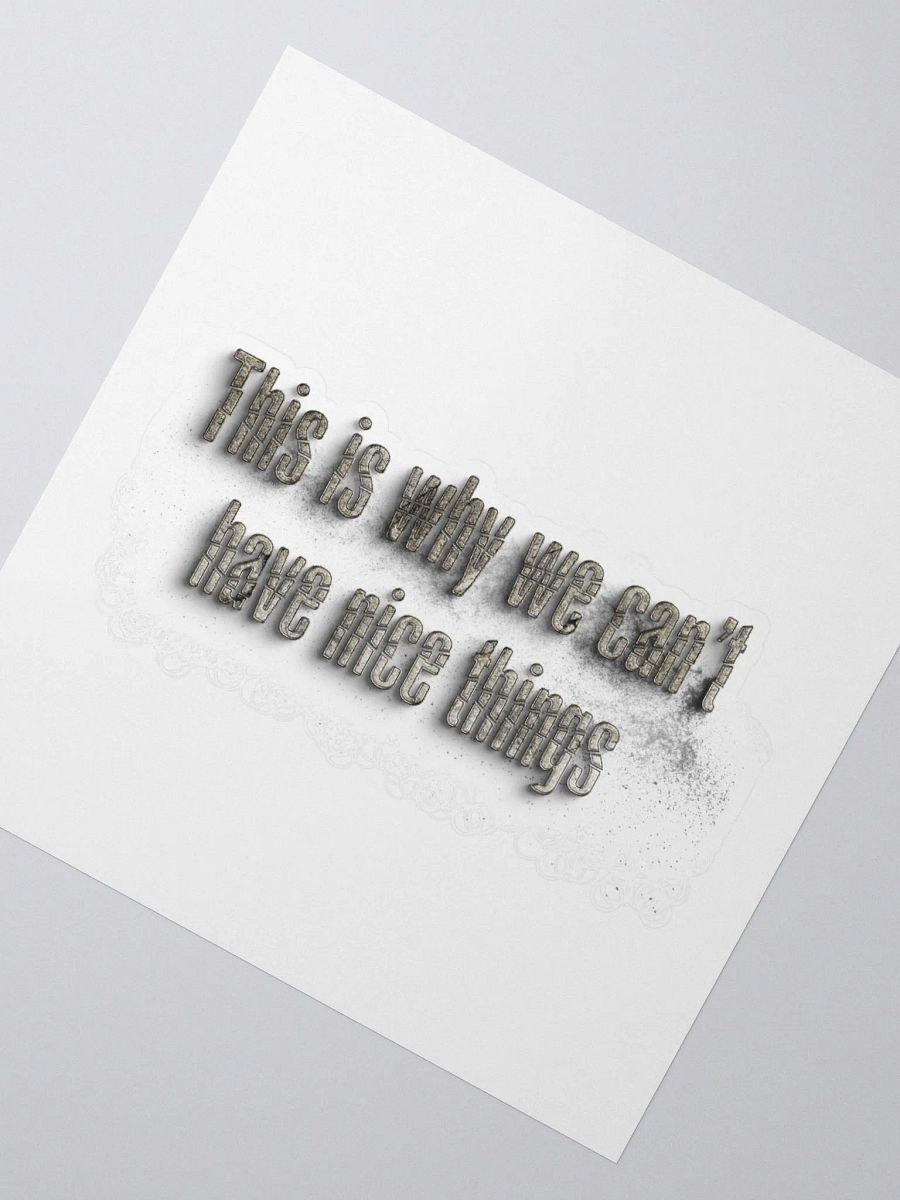 THIS IS WHY WE CAN'T HAVE NICE THINGS product image (5)