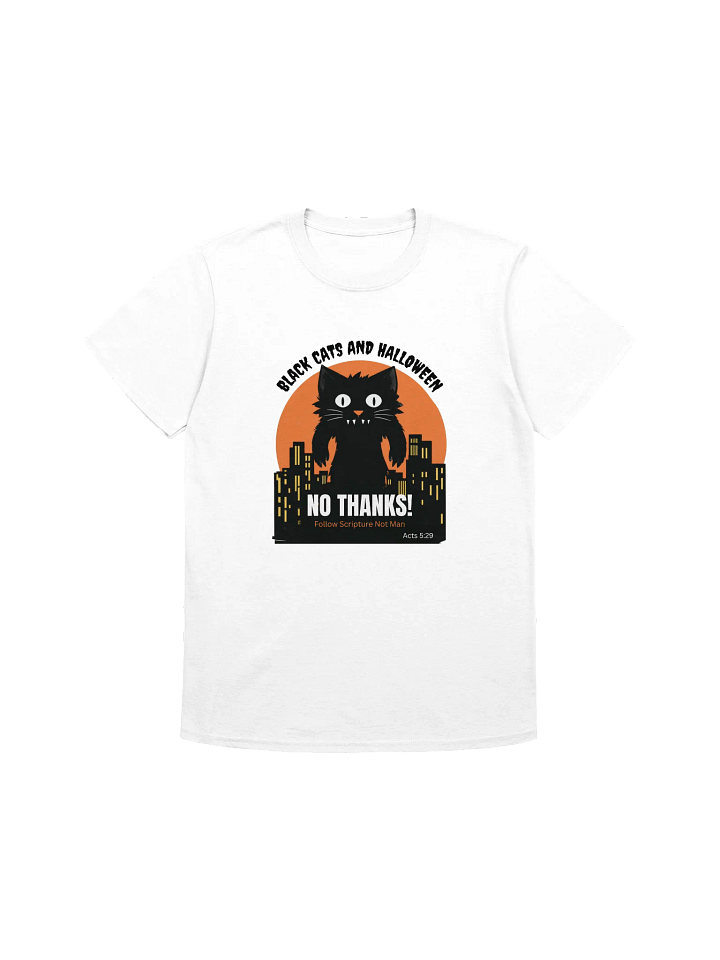 Black Cats and Halloween product image (1)