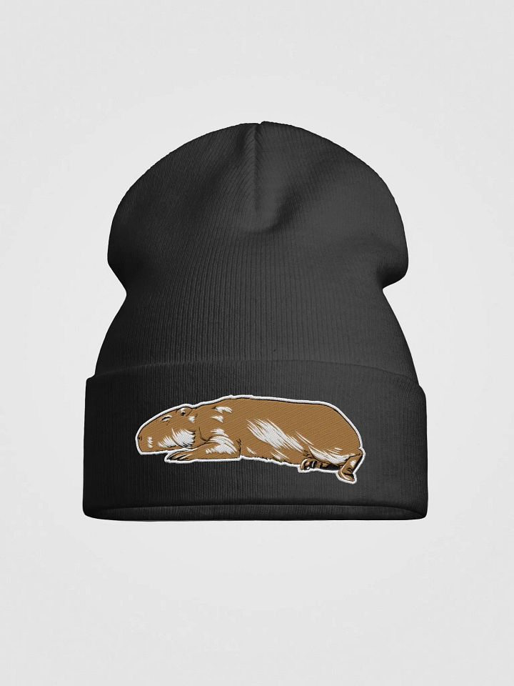 Sleeping Capybara product image (1)