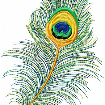 Peacock Feather Gld product image (3)