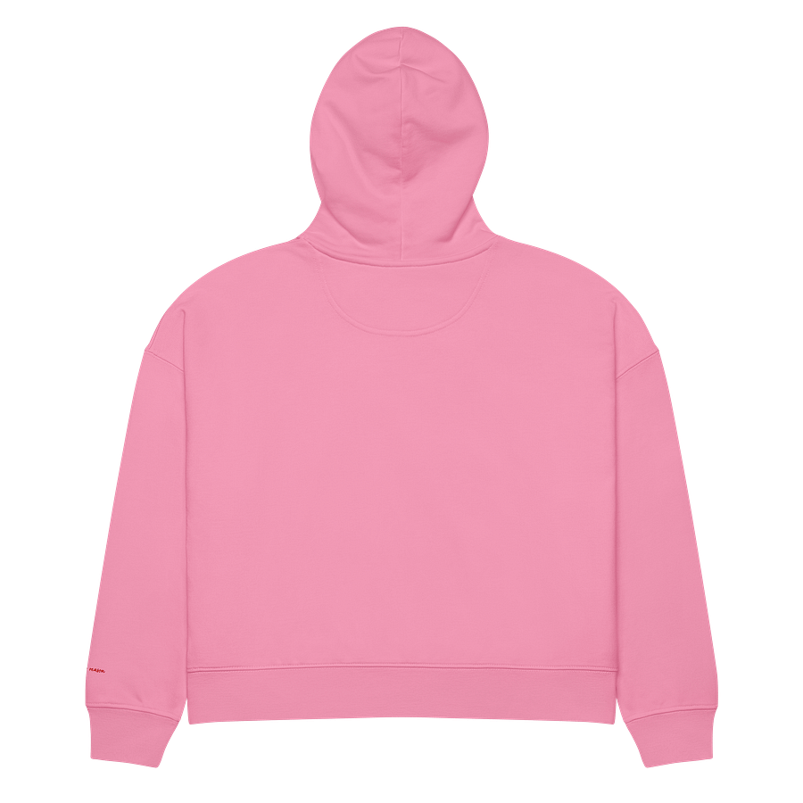 the unapologetic hoodie product image (2)