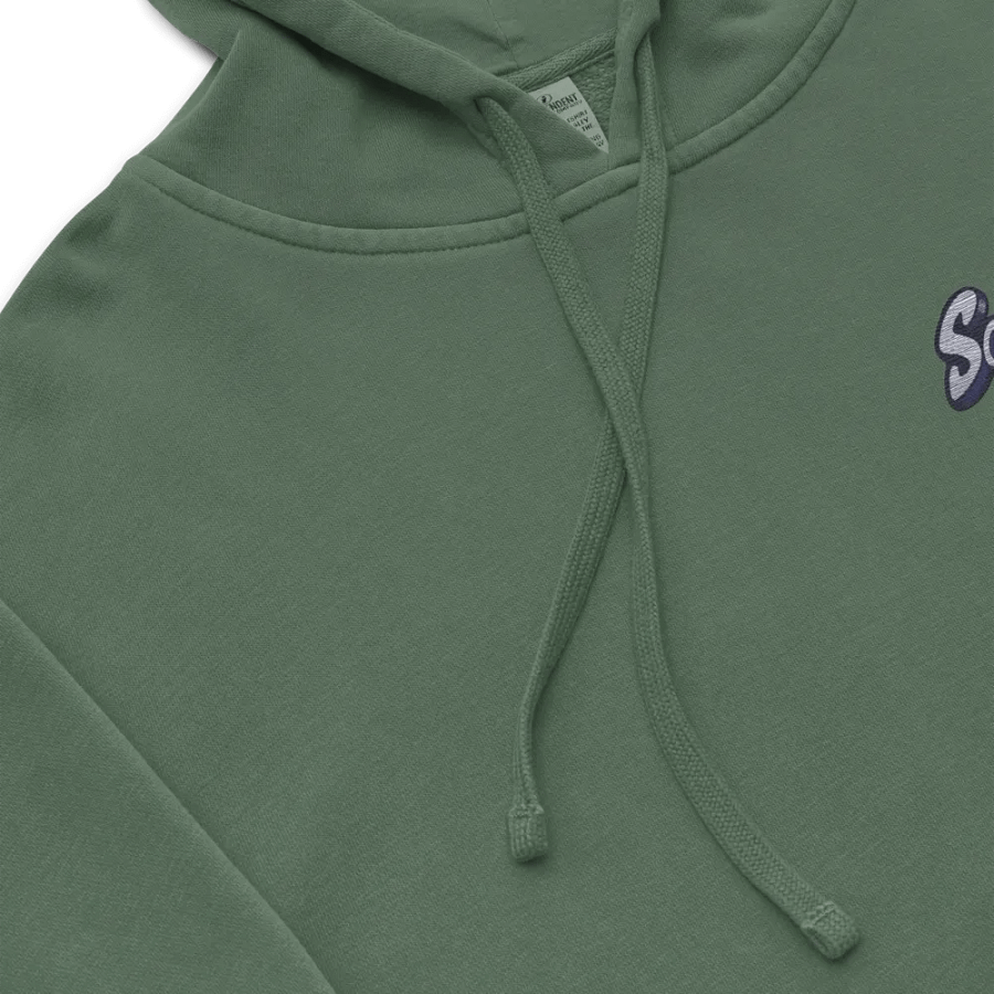 SBI Hoodie product image (9)