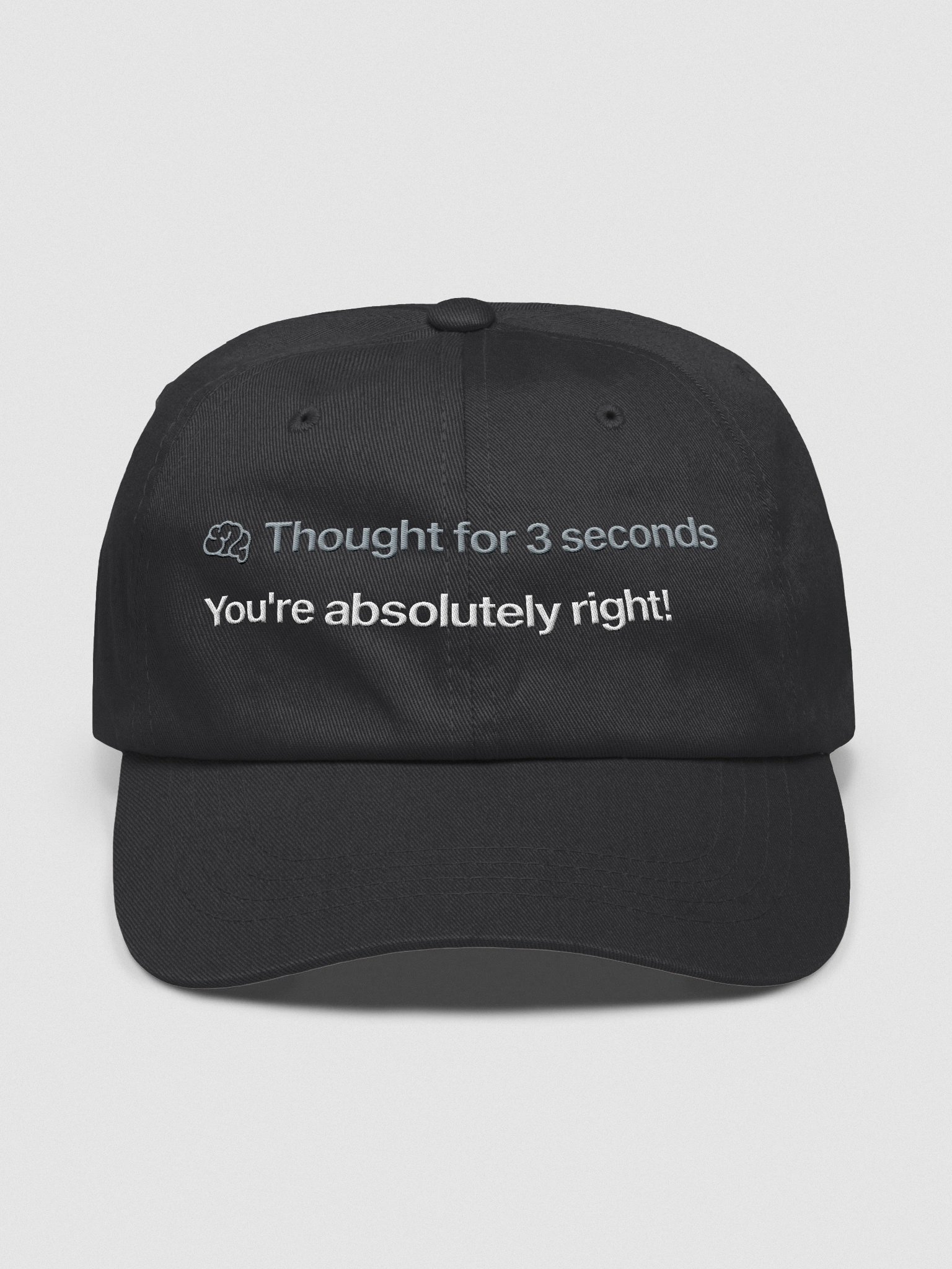 "You're absolutely right!" hat - 100% cotton product image (3)