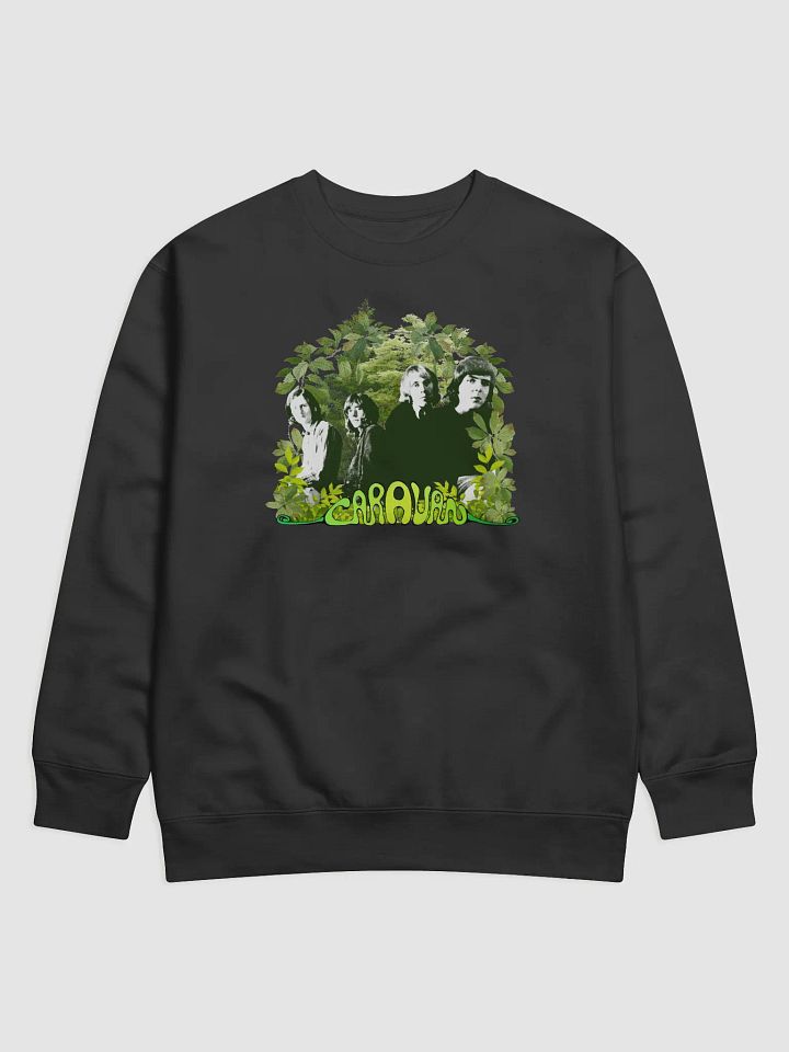 Faded Mirage Caravan Sweatshirt product image (1)