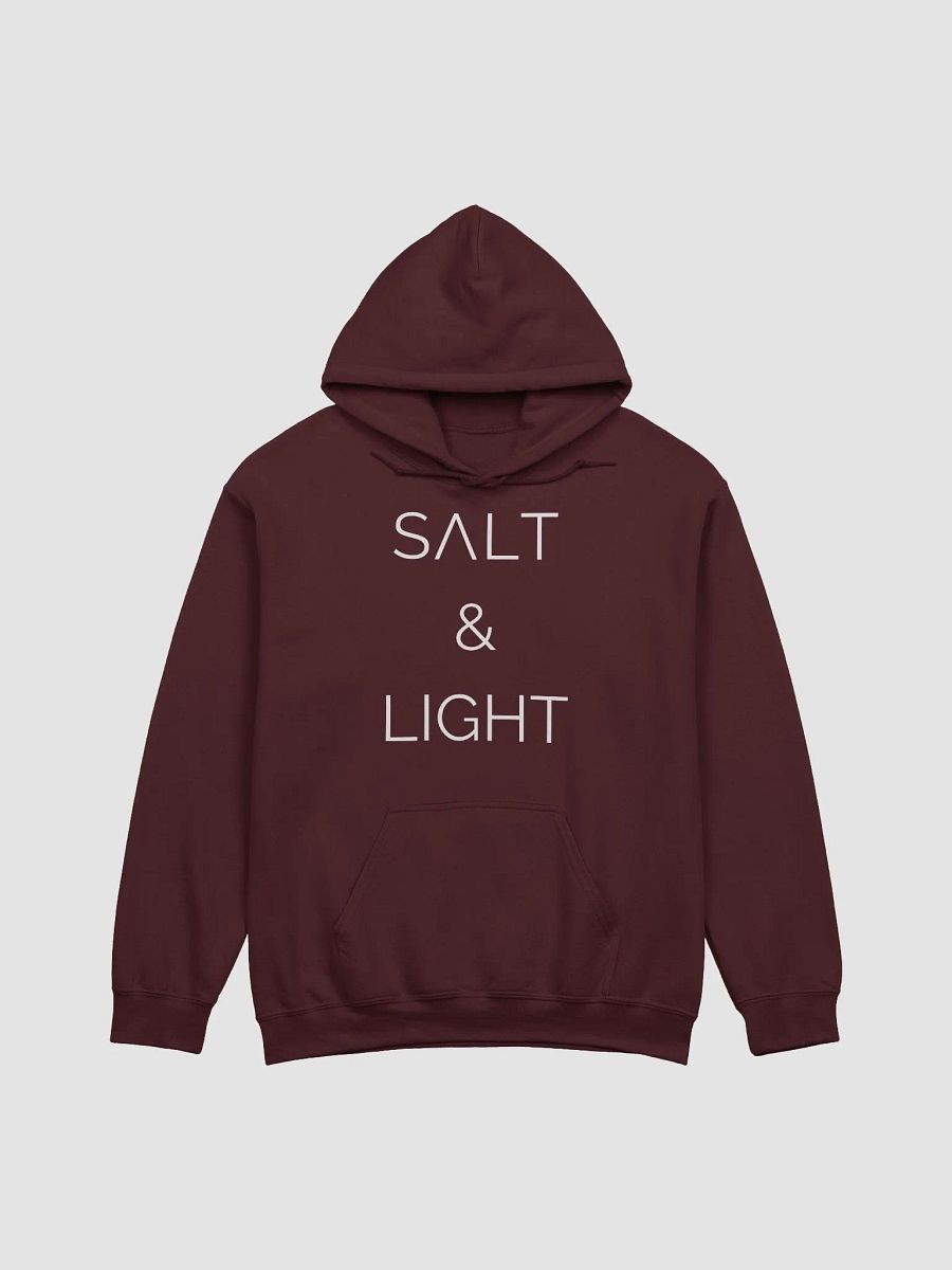 Salt & Light Hoodie product image (6)