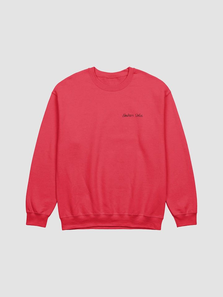 Hacker Facts Hoodie product image (1)
