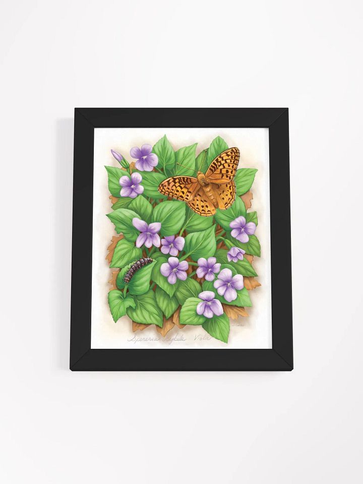 Fritillary Butterfly & Caterpillar product image (6)