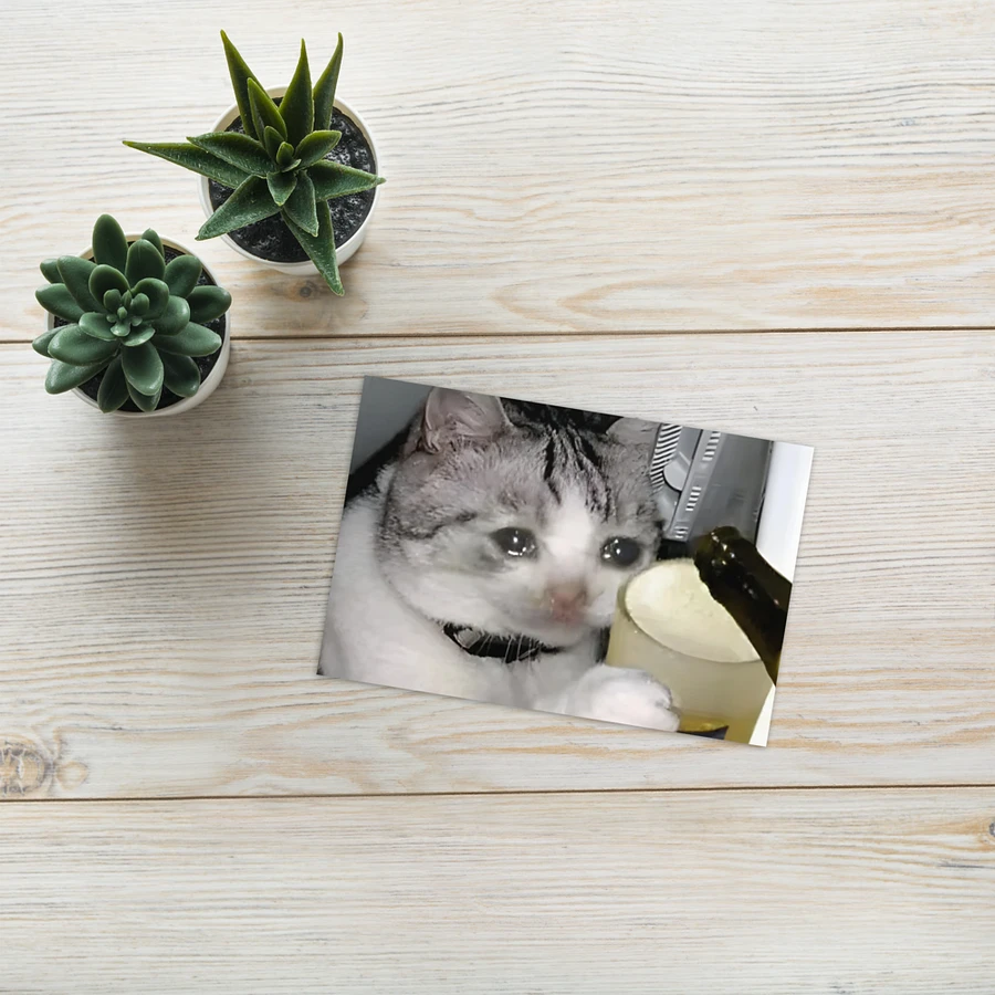 Greening Card: Meme Cats product image (25)