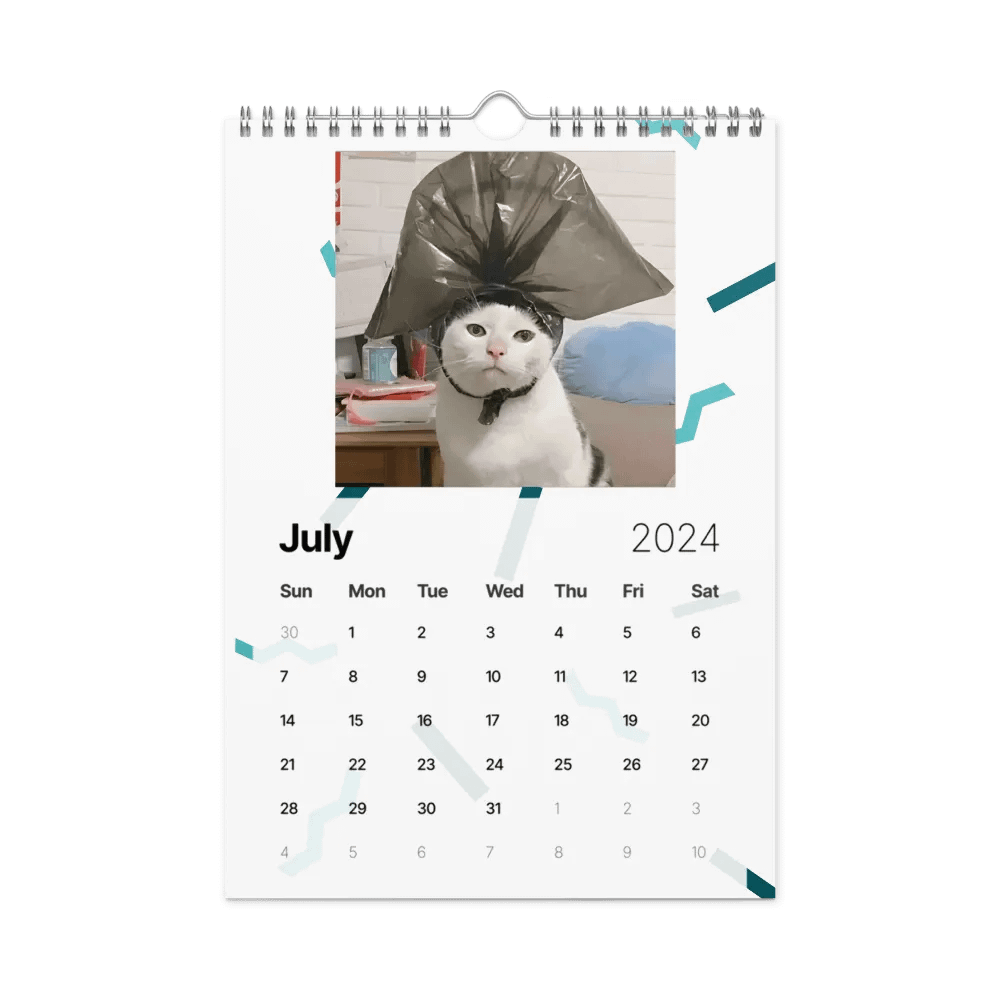 Wall Calendar (2024): Meme Cats product image (10)
