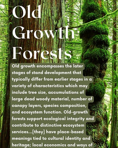 Old Growth Forests:
#oldgrowth encompasses the later stages of stand development that typically differ from earlier stages in...