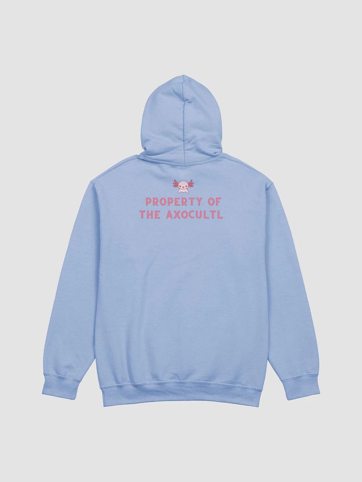 Discord Server AxoCultl Hoodie product image (8)