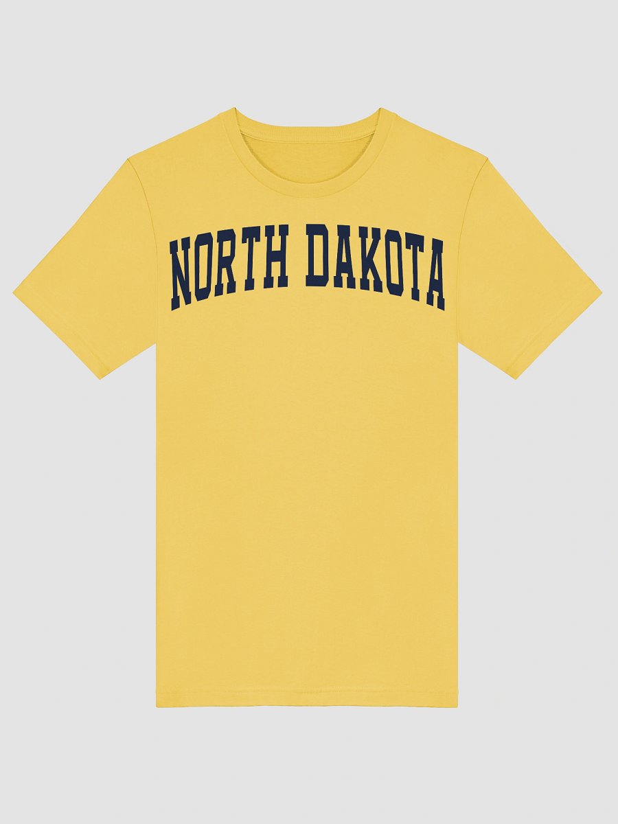 North Dakota Vintage Varsity Supersoft Unisex T-Shirt product image (29)