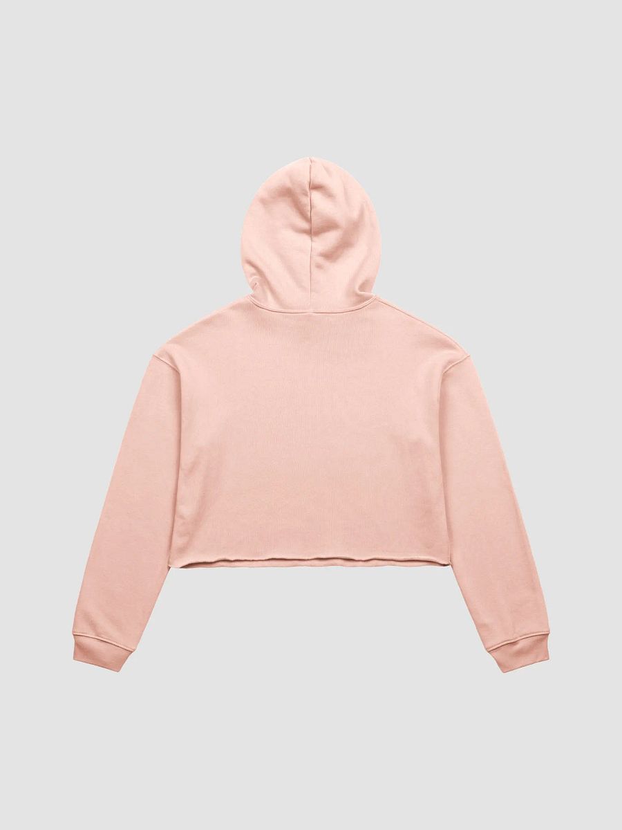 Thoughtvolutionist Crop Hoodie product image (4)