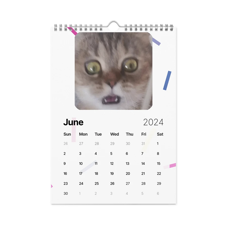 Wall Calendar (2024): Meme Cats product image (12)