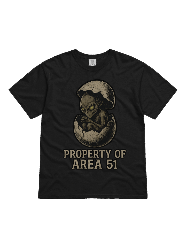 Property of Area 51 Tee product image (1)