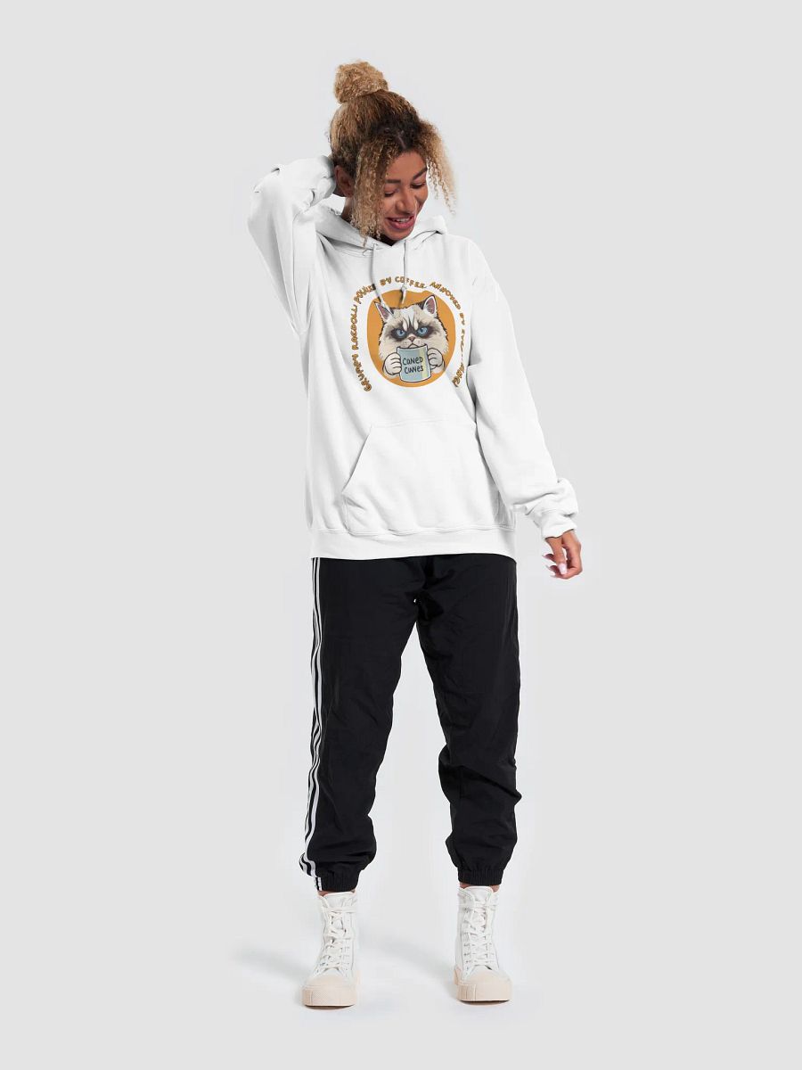 Ragdoll Coffee Hoodie product image (5)
