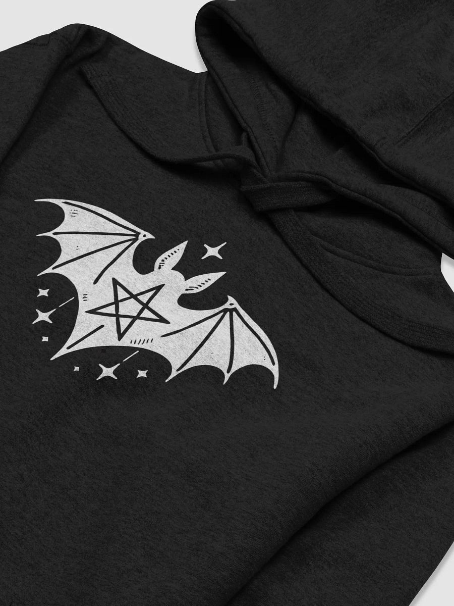 Coven Hoodie product image (3)