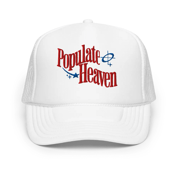 Populate Heaven Hat product image (1)