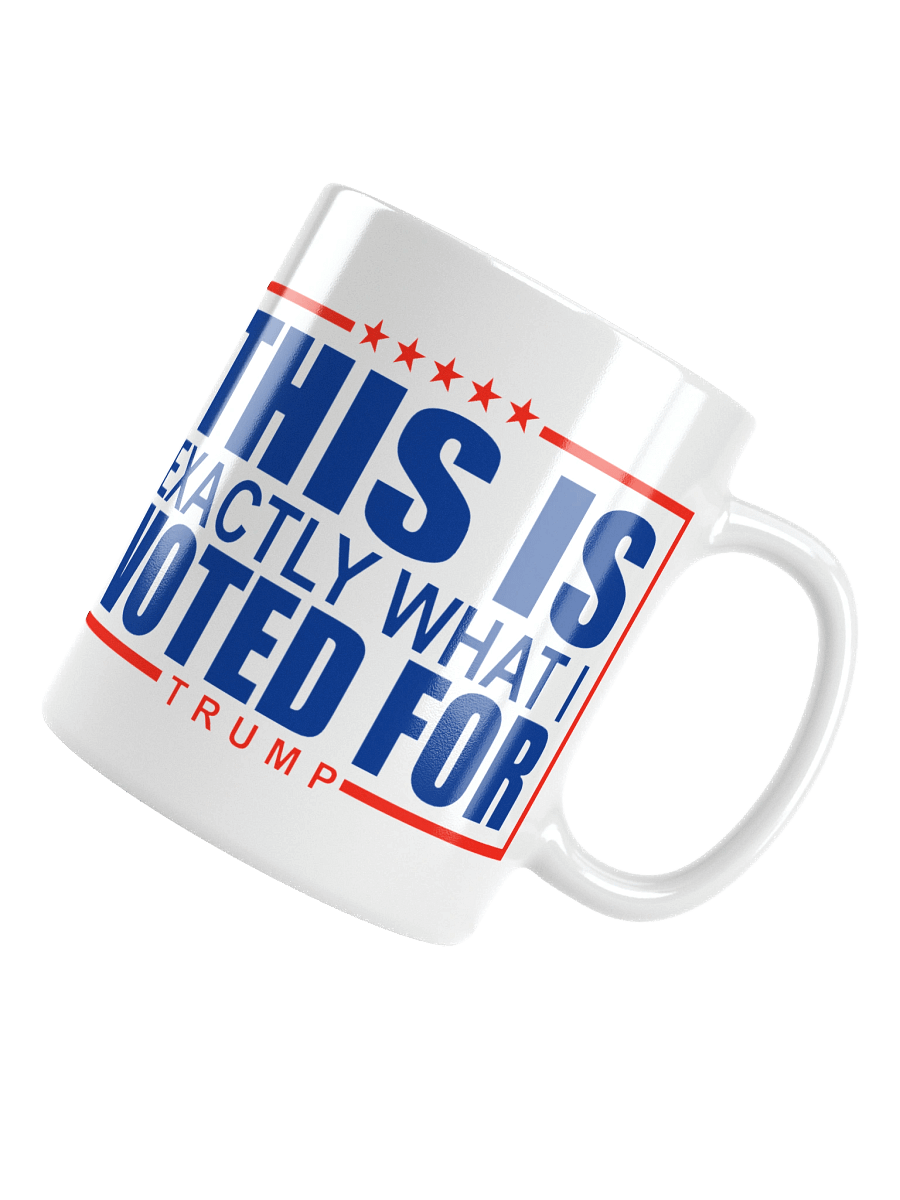 This Is What I Voted For Mug product image (10)