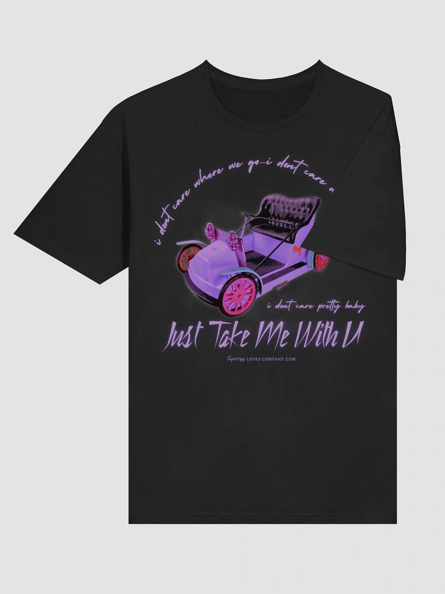 Take Me on a Wild Ride T-Shirt product image (6)