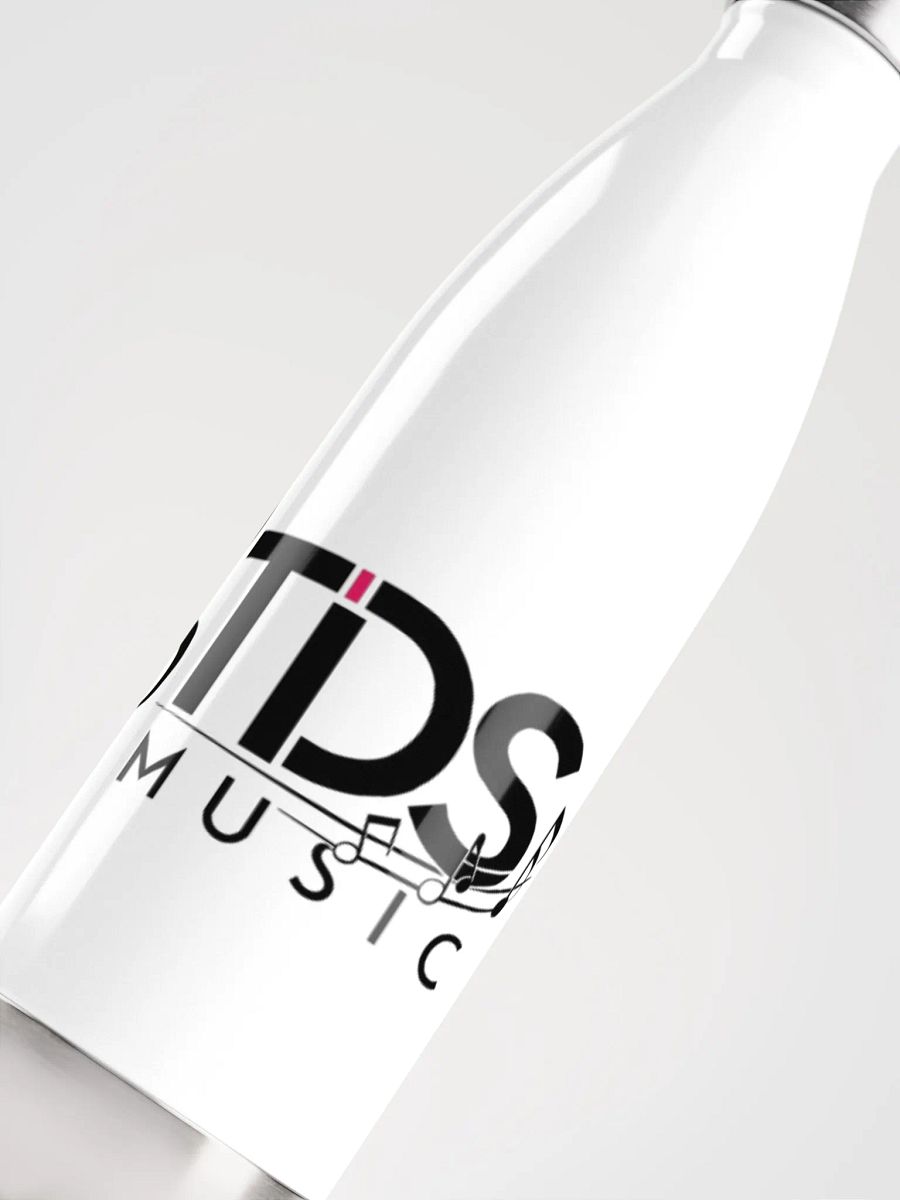 TDS Music Insulated Stainless Steel Water Bottle - 17oz, White product image (5)