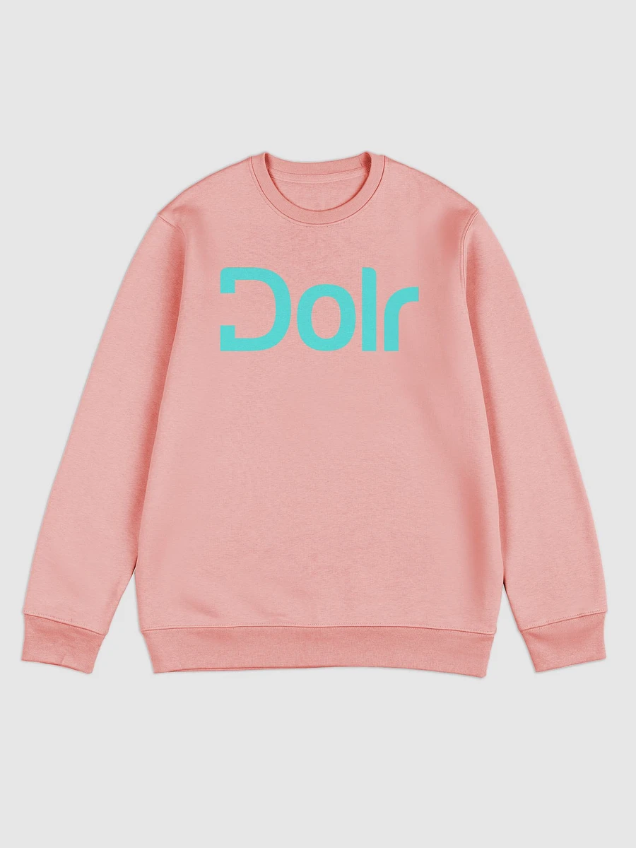 Dolr Sweatshirt product image (3)