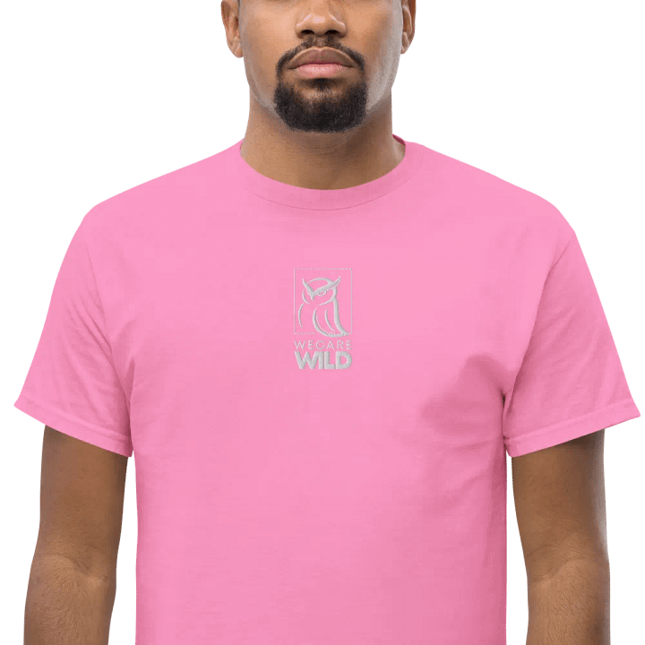Embroidered T-Shirt product image (1)