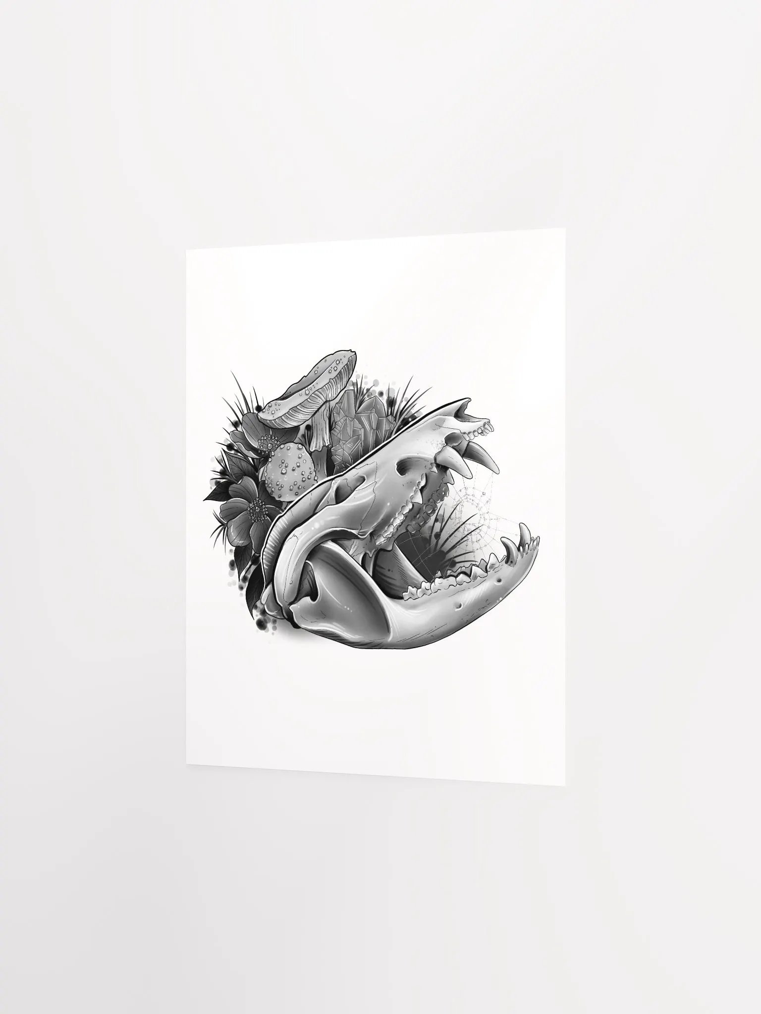 Opossum Skull Poster product image (5)