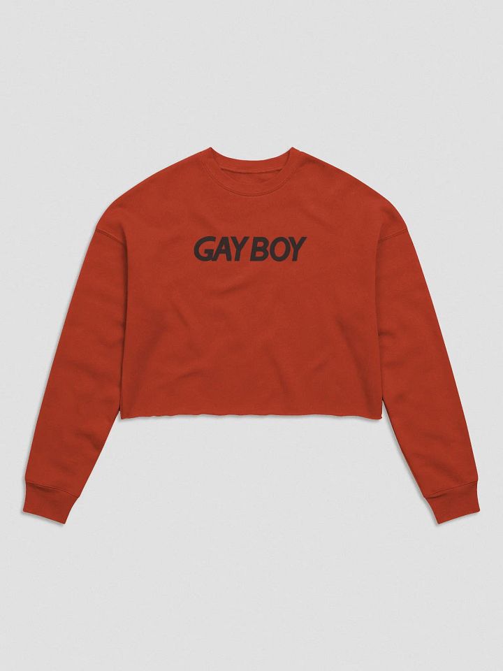 Gayboy Crop Sweater product image (2)