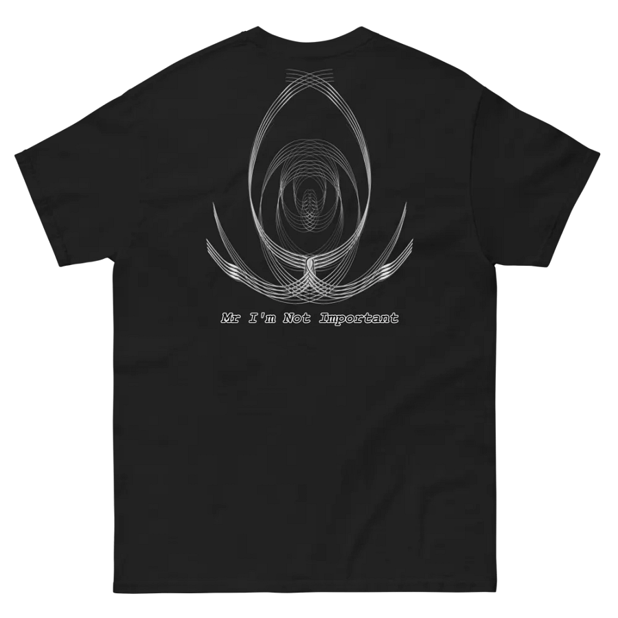 Aaron - Embroidered - Heavyweight T-Shirt - Mr. I'm Not Important product image (3)