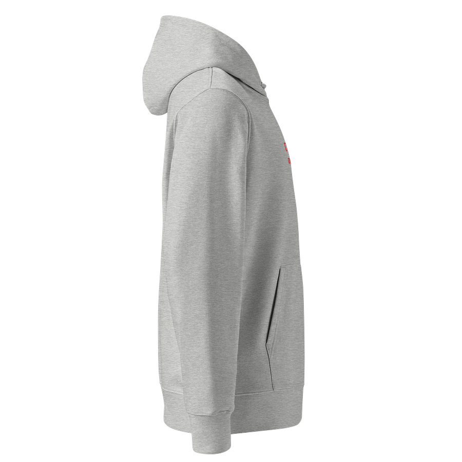UFO Ultraconservative Family Oriented Hoodie product image (4)