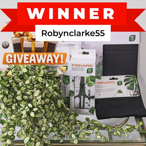 Congratulations to @robynclark55, you’re the winner of the Fiskars giveaway.

Thank you all for your patience. I’m sorry for ...