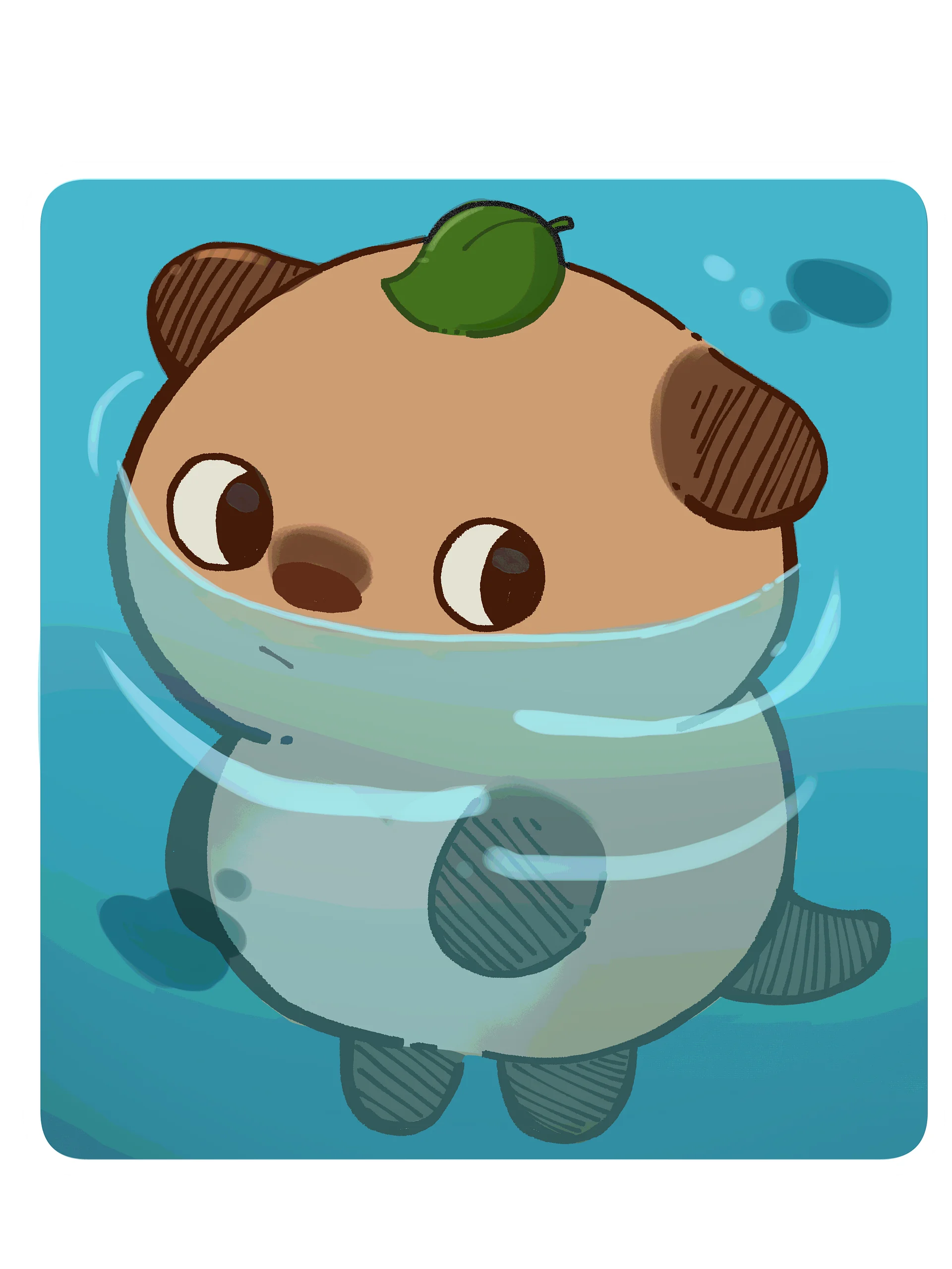 Obbr Stare product image (3)