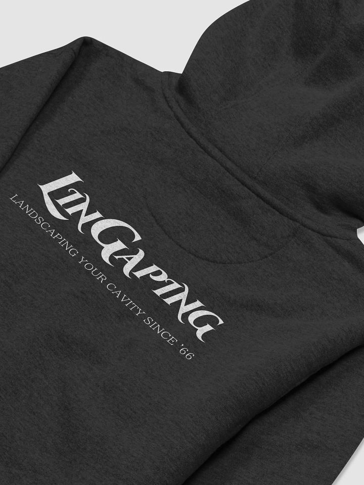 LLC pullover hoodie + back product image (1)