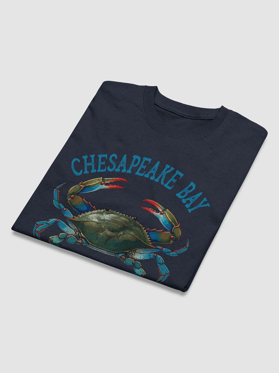 Chesapeake Bay Vintage Tee product image (3)