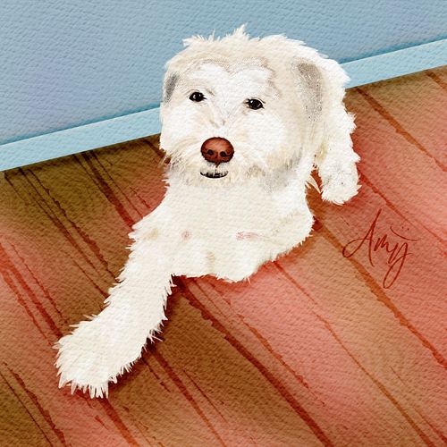 Another pet portrait for a satisfied client! White animals are very difficult to paint - and black animals too ... I rely hea...